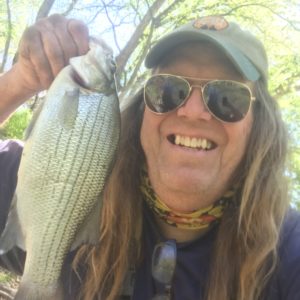 crappie hippie with white bass caught on Ultra Minnow jig with sickle hook